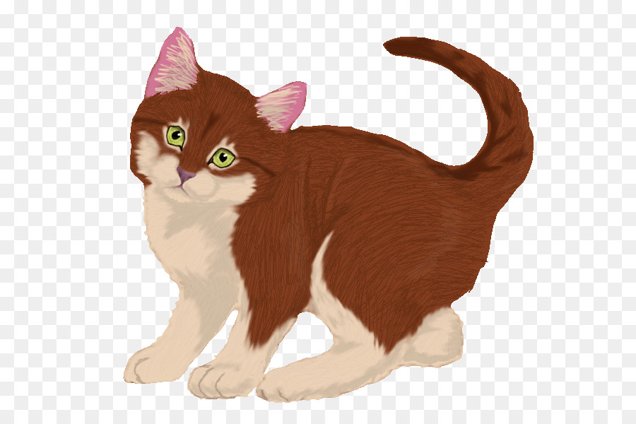 American Wirehair，Manx Cat PNG