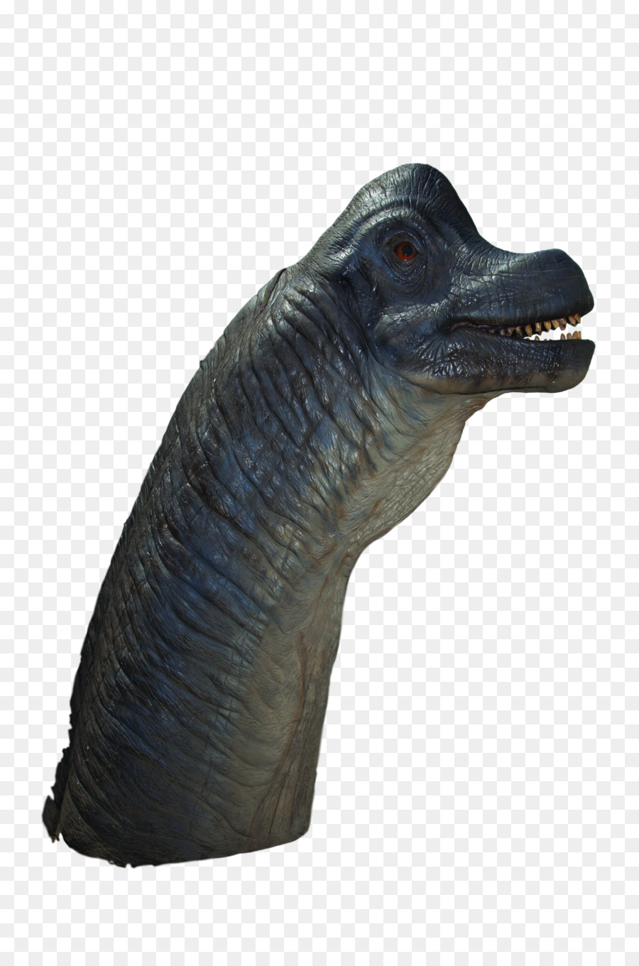 Brachiosaurio，Hollywood PNG