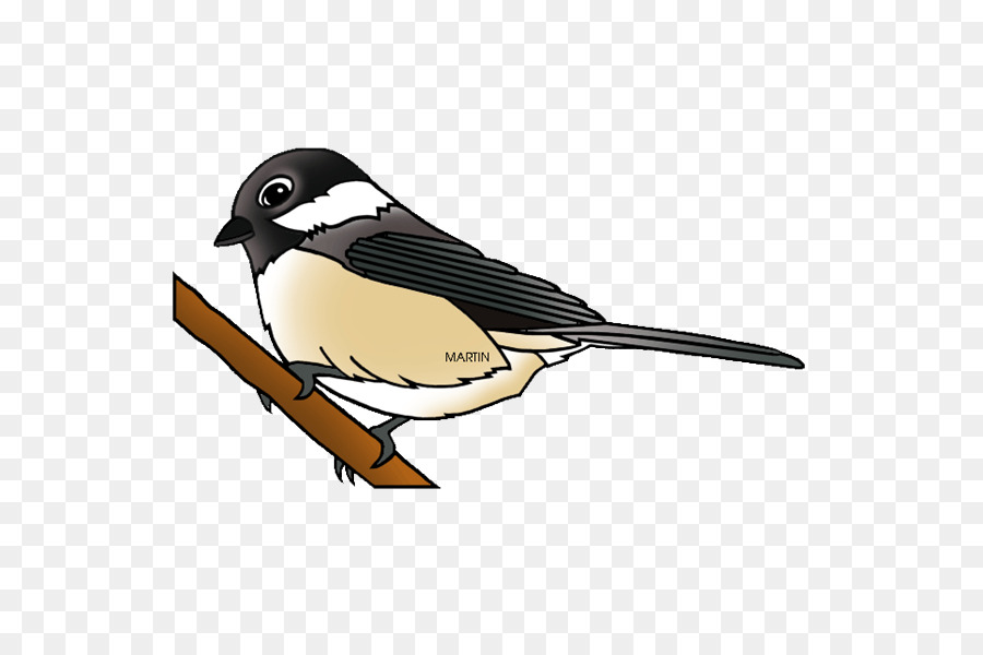 Chickadee，Blackcapped Chickadee PNG