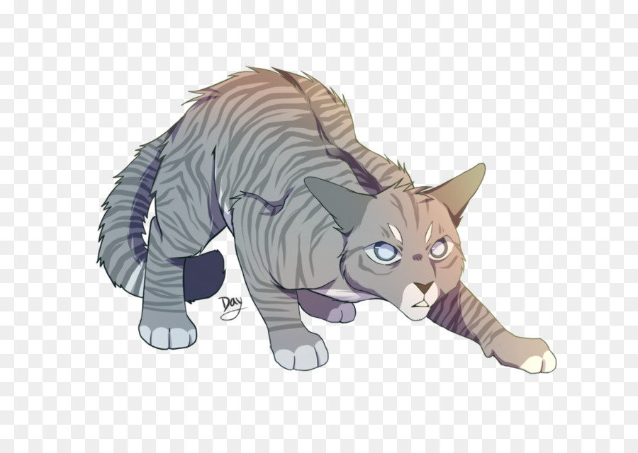 Gato，Felino PNG