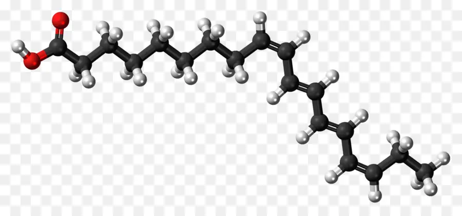 Grasa Poli Insaturada，ácidos Grasos Omega3 PNG