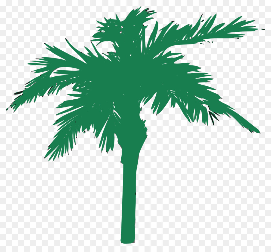 Palmera，Hojas PNG