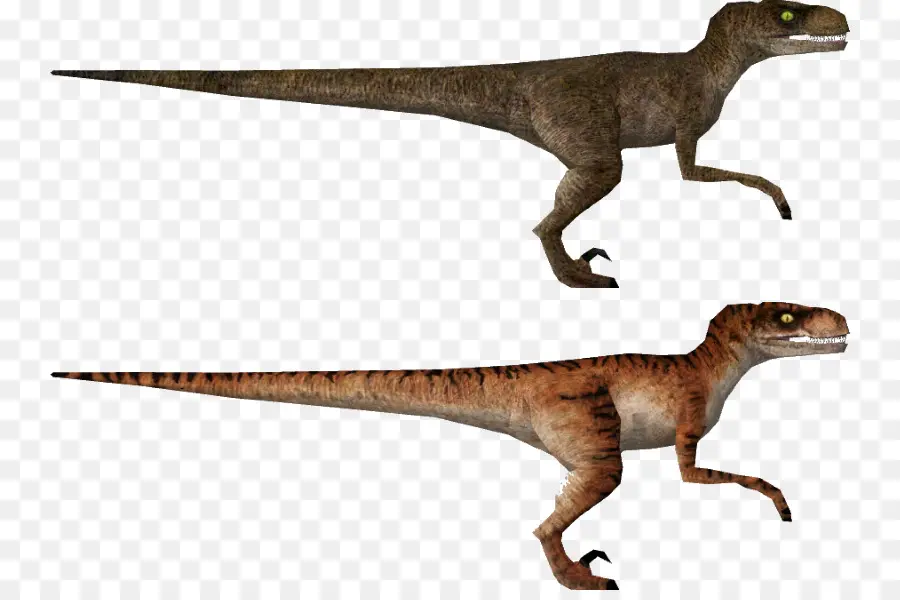 Velociraptor，Mundo Perdido PNG