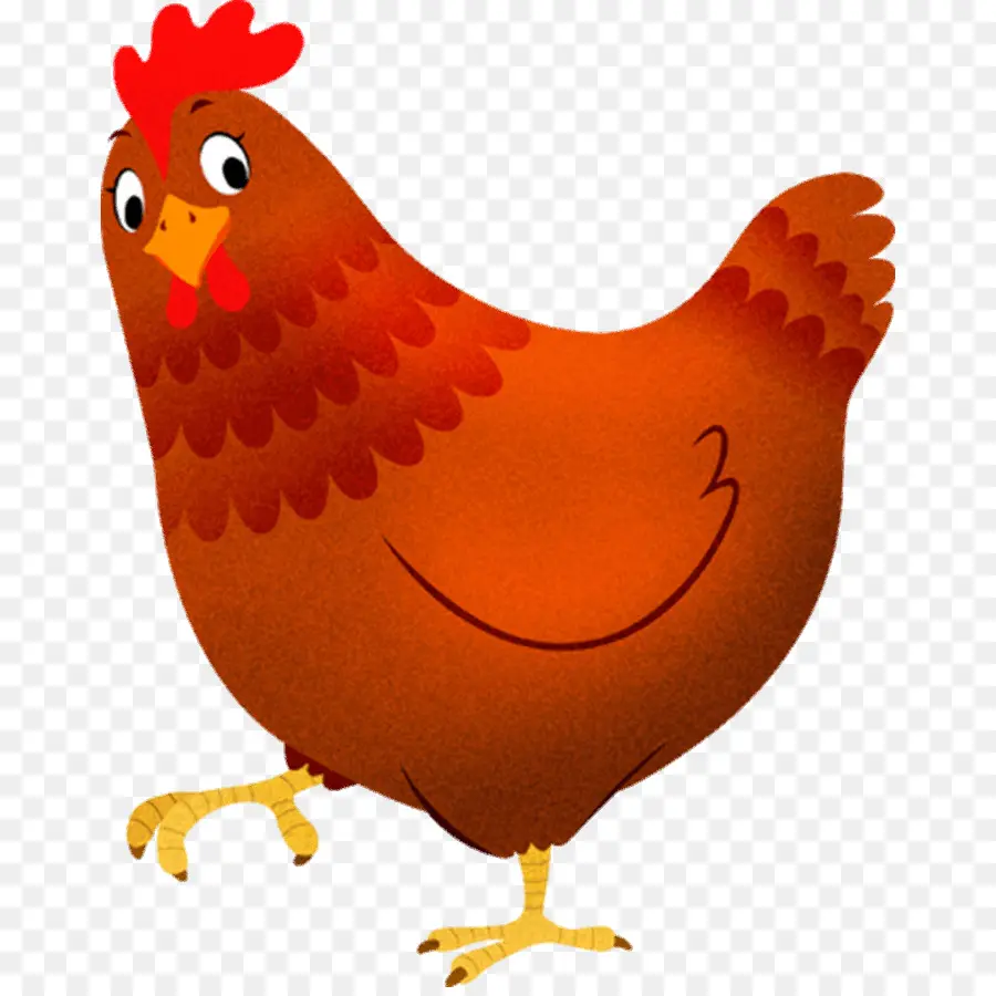 Pollo，Gallina PNG