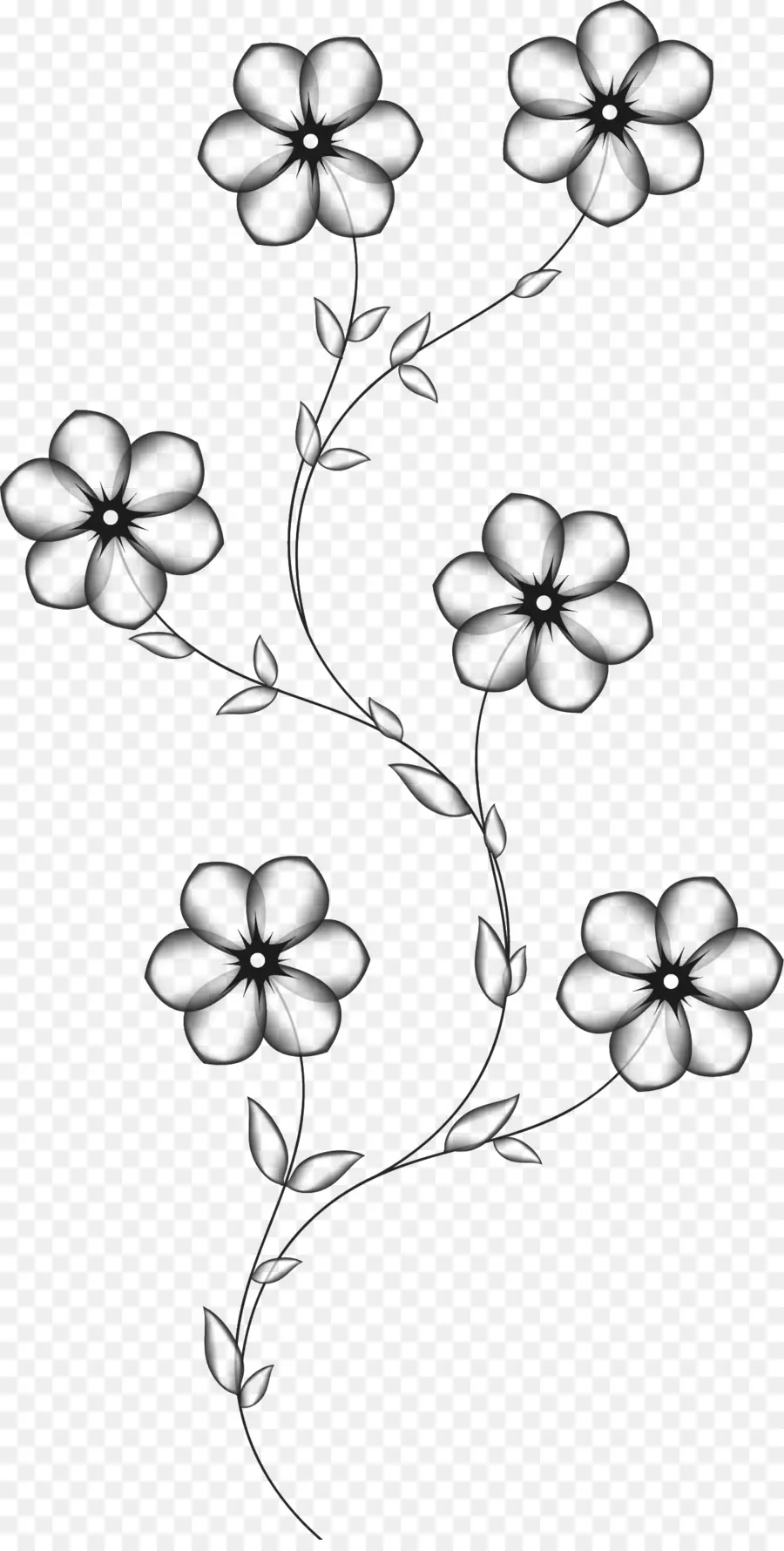 Dibujo De Flores，Pétalos PNG