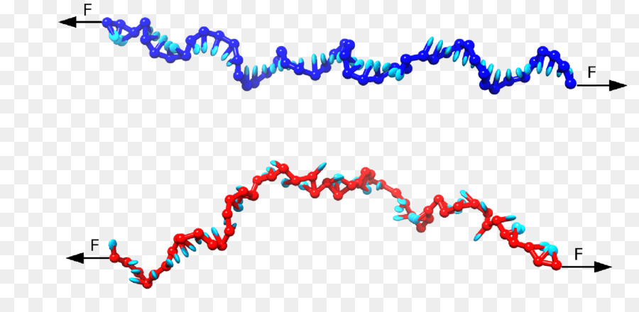 Virus De Adn，Adn PNG