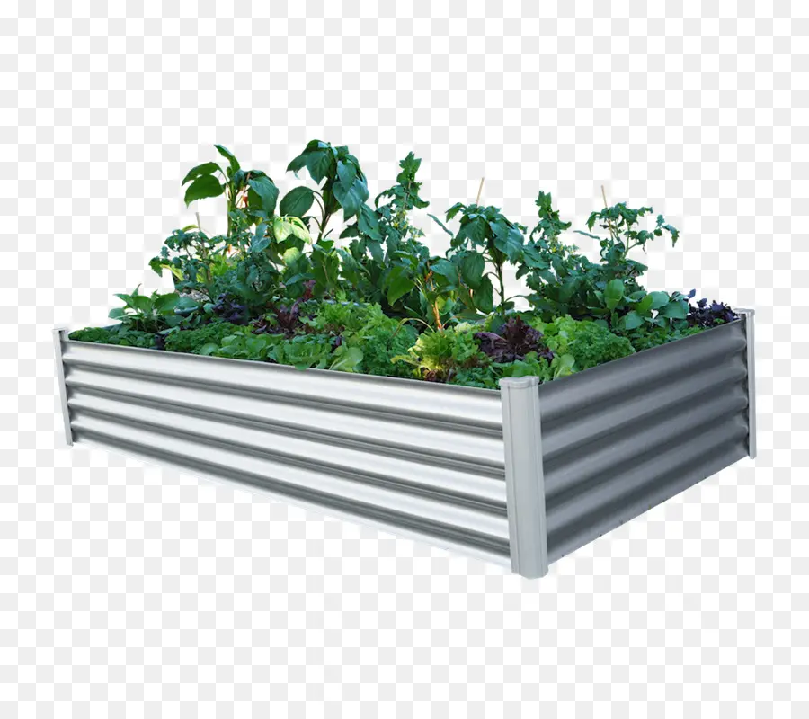 Raisedbed Jardinería，Jardín PNG