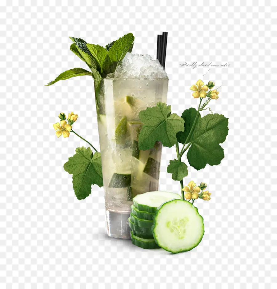 Mojito，Gin Tonic PNG