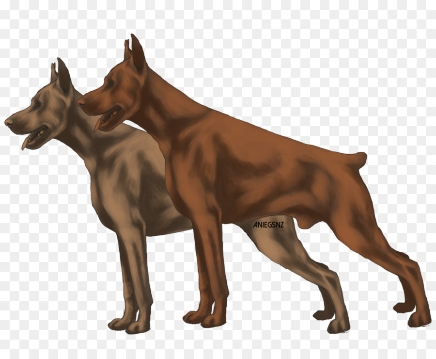 Dobermann，Pinscher Alemán PNG