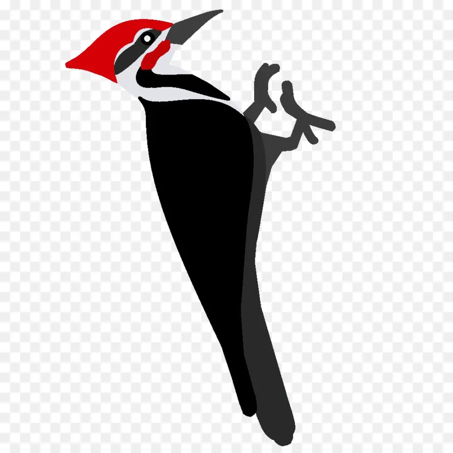 Pájaro Carpintero，Rojo PNG