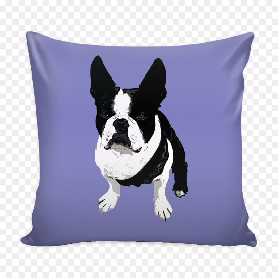 Boston Terrier，Ocicat PNG