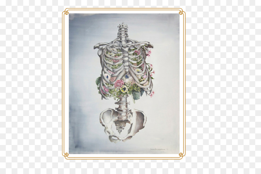 Anatomía，Pintura PNG