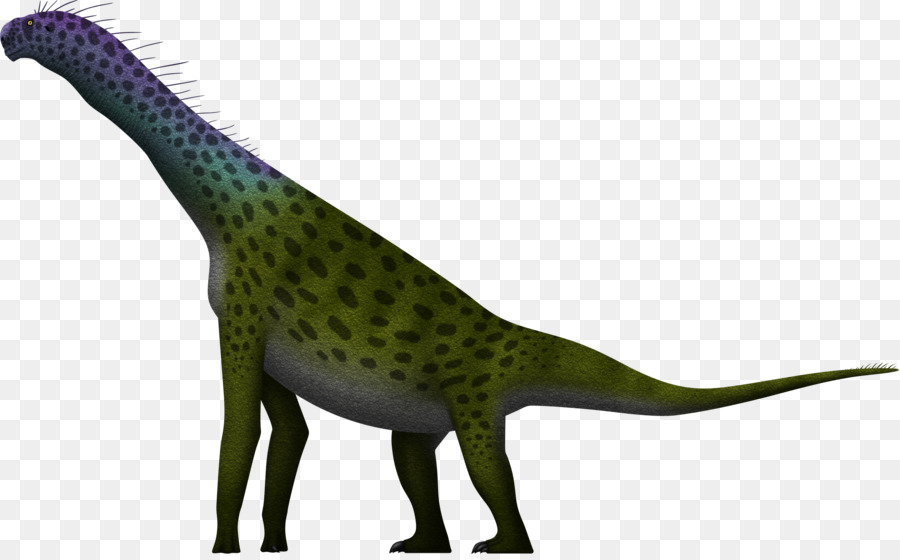 Atlasaurus，Sauropoda PNG