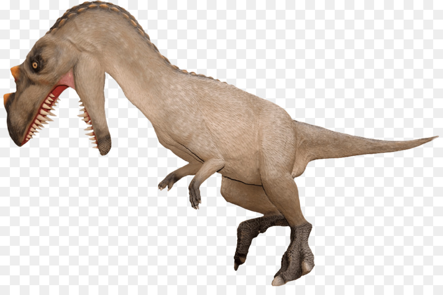 Tyrannosaurus，Moab Gigantes PNG