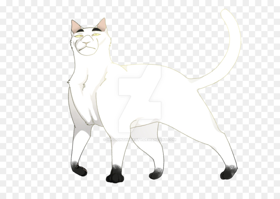 Bigotes，Gatito PNG