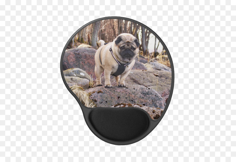 Pug，Raza De Perro PNG