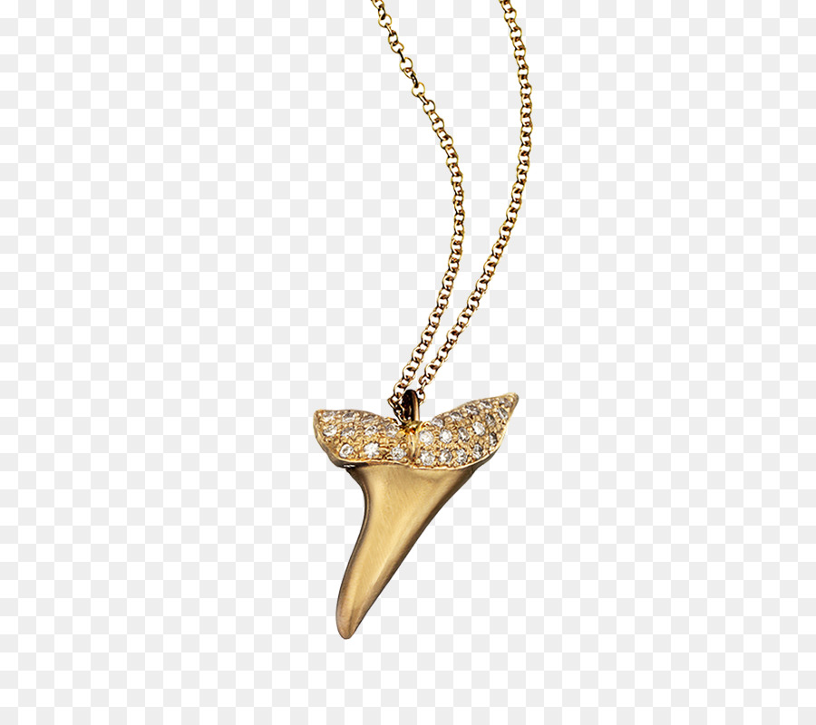 Collares，Colgante PNG