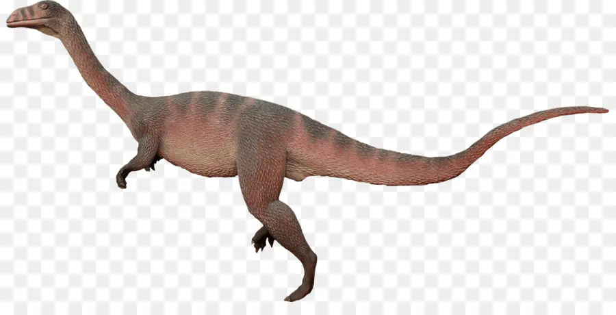 Plateosaurus，Anchisaurus PNG