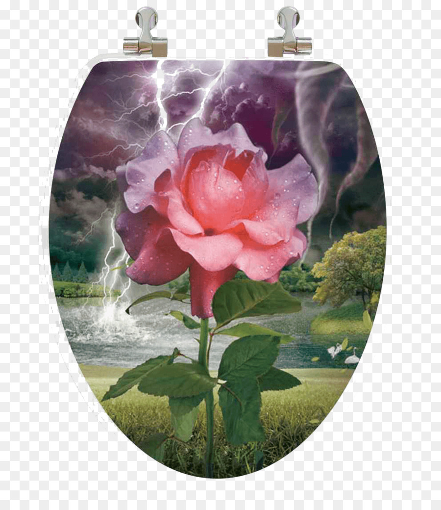 Las Rosas De Jardín，Asientos De Inodoro Bidet PNG