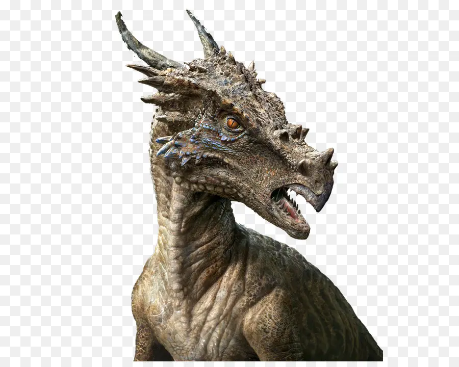 El Dracorex，Pachycephalosaurus PNG