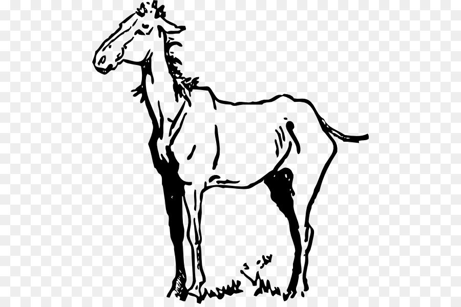 Cabeza De Caballo，Bosquejo PNG