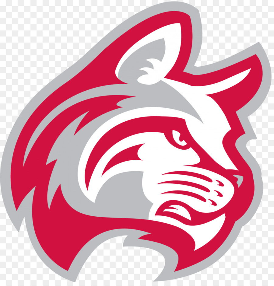 Universidad De Indiana Wesleyan，Ball State University PNG