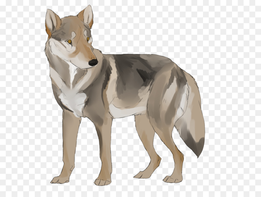 Lobo，Canino PNG