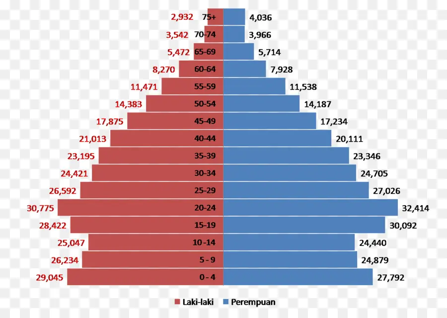 Pirámide De Población，Demografía PNG