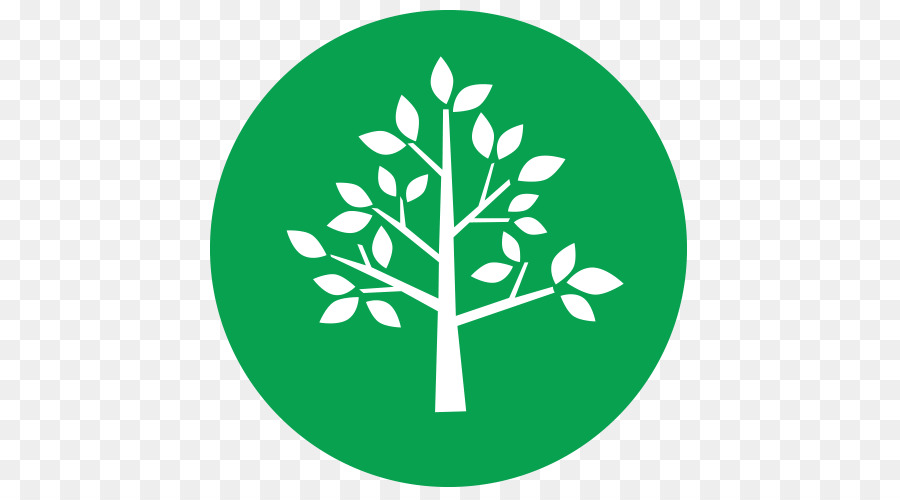 Árbol，Planta PNG