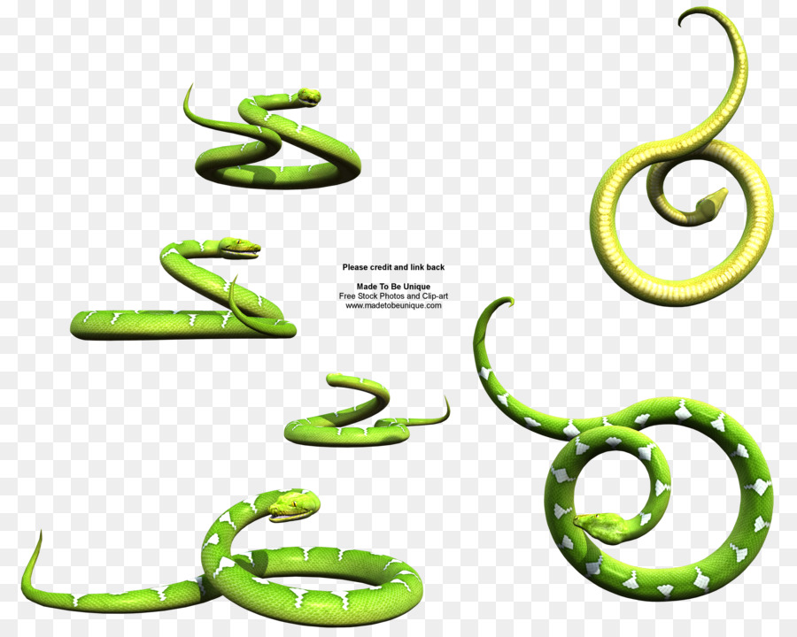 La Serpiente，árbol Verde Python PNG