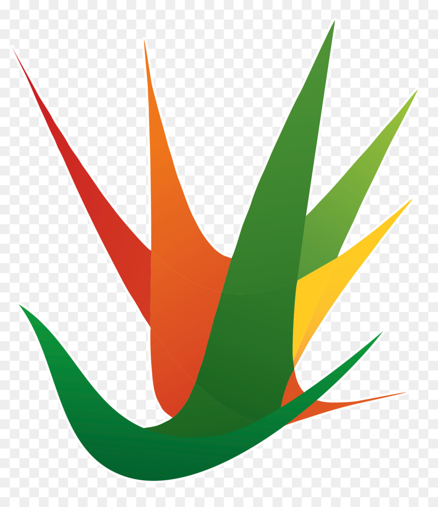 Logotipo De La Hoja，Naturaleza PNG