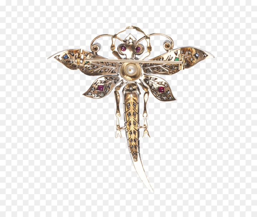 Broche，Insecto PNG