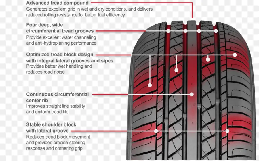 Diagrama De Neumáticos，Neumático PNG