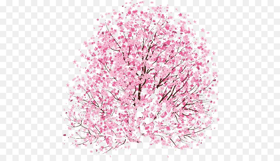 Árbol De Cerezo En Flor，Rosa PNG