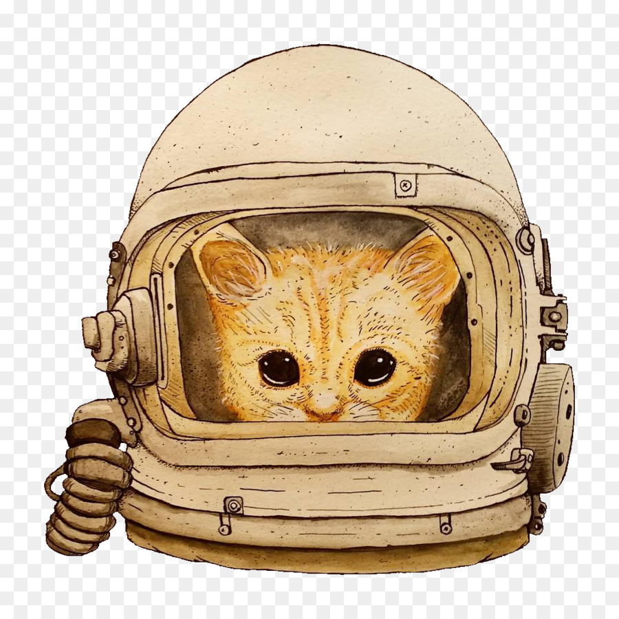 Gato，Gatito PNG