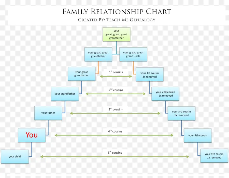 árbol De Familia，Genealogía PNG