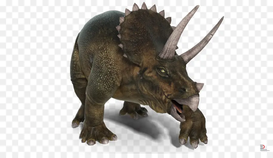 Triceratops，Protoceratops PNG