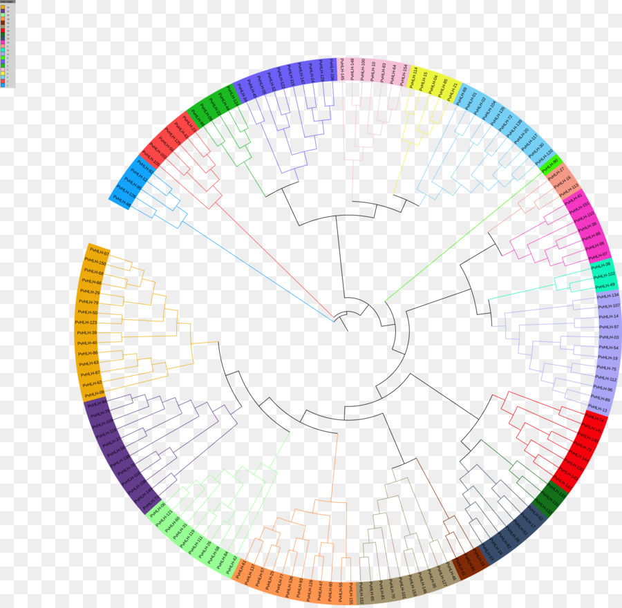 Diagrama De，Círculo PNG