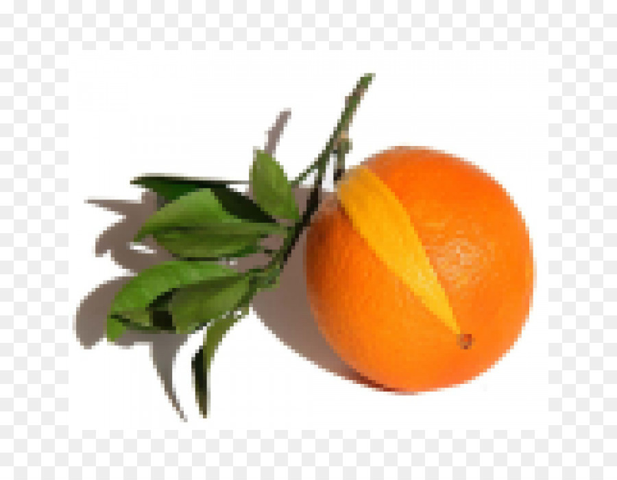 Clementine，La Naranja Amarga PNG