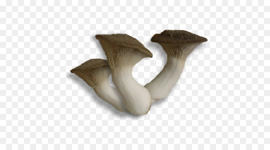 Hongos，Comestible PNG