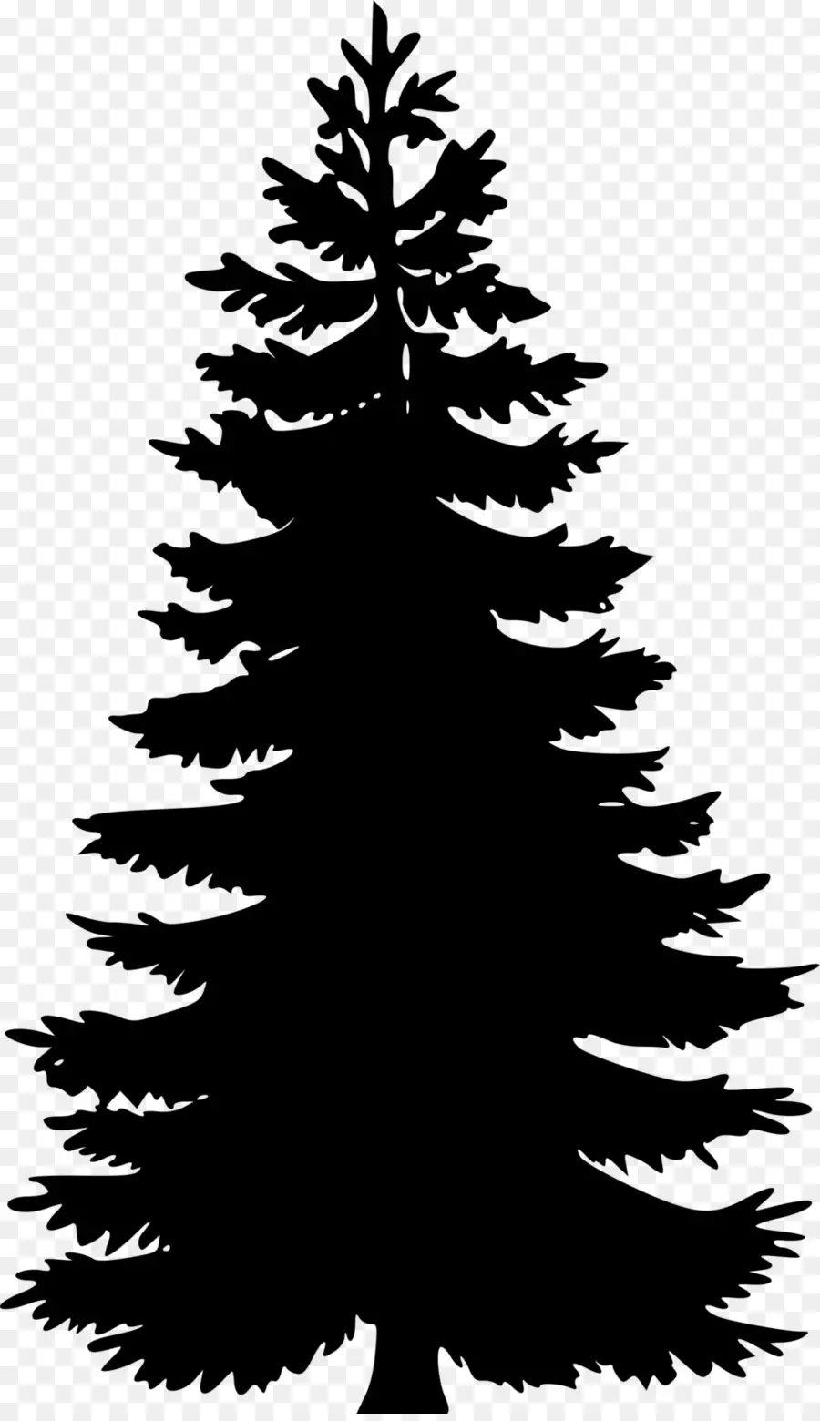 Silueta De Arbol，Pino PNG