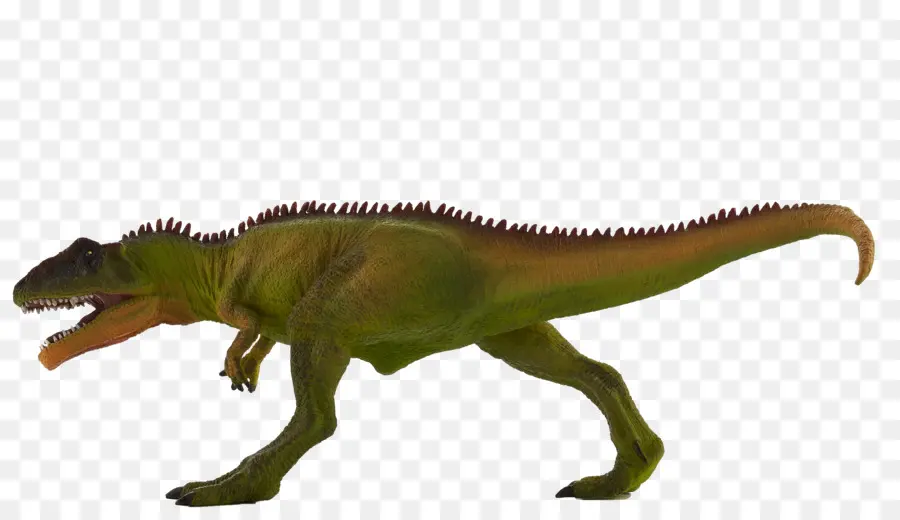 Gigantosauro，Spinosaurus PNG