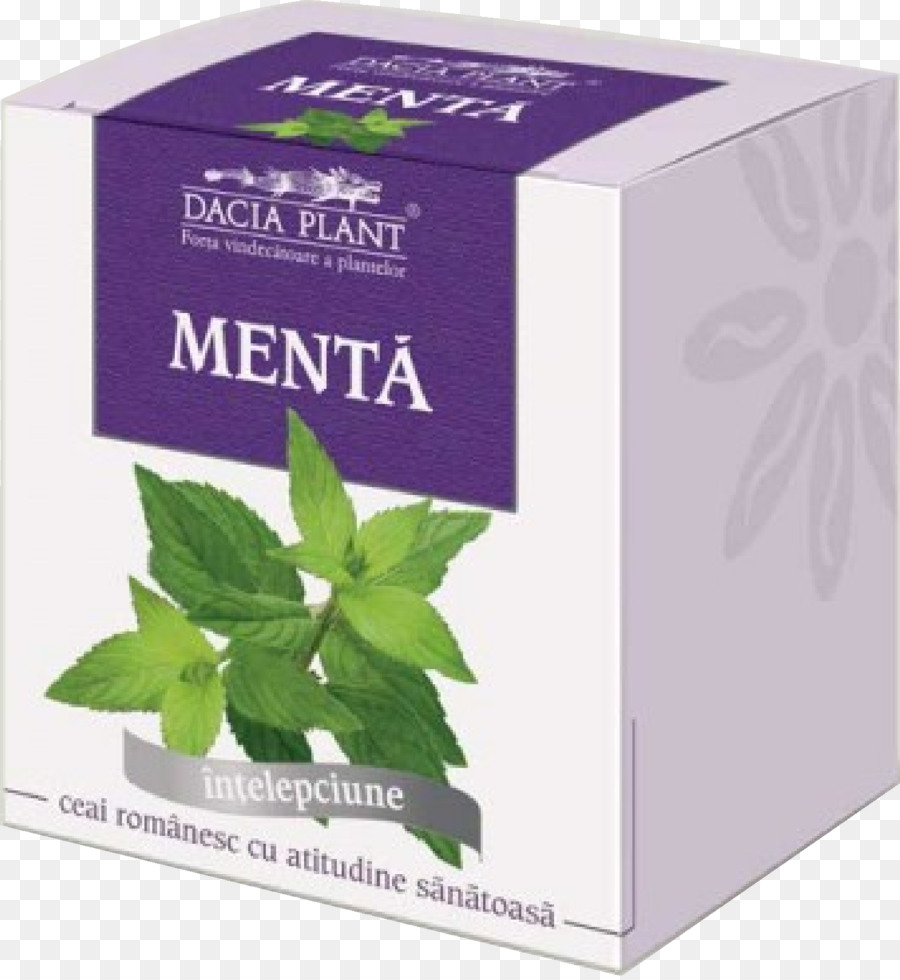 Té，Menta PNG