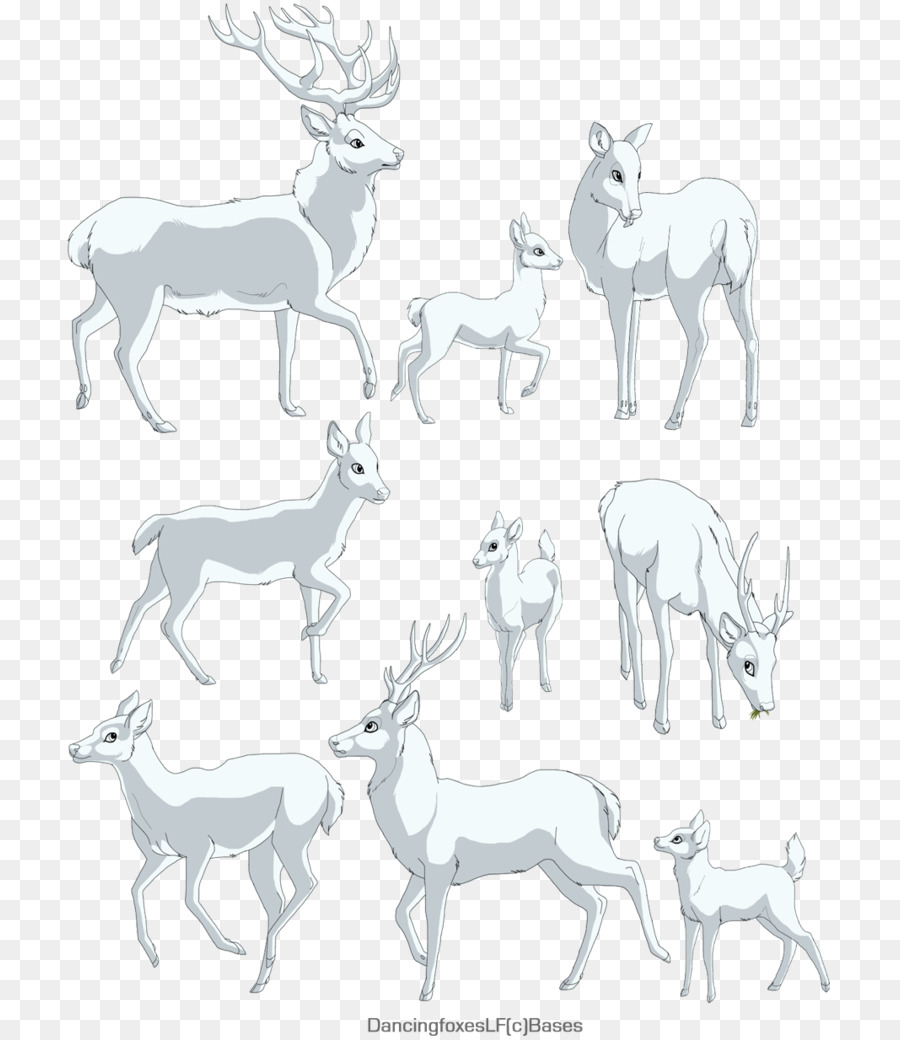 Reno，Elk PNG