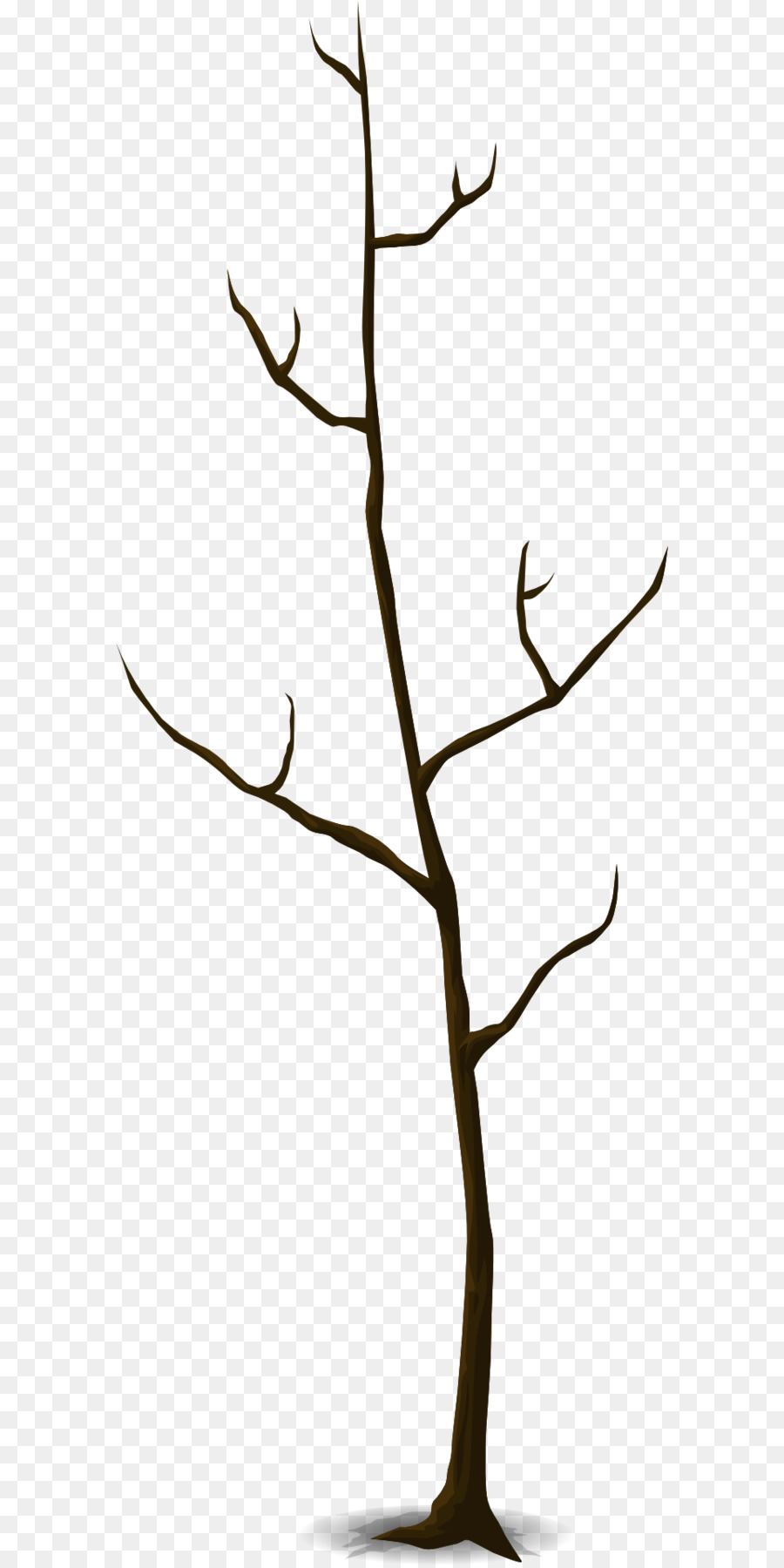 árbol Desnudo，Rama PNG