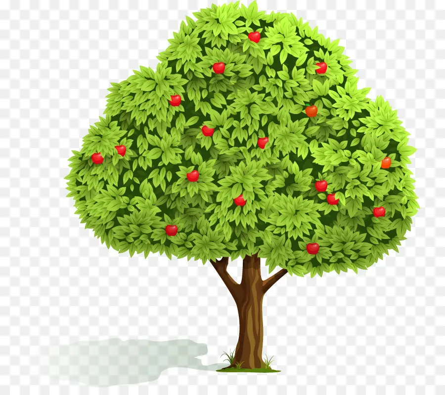 Apple，árbol De La Fruta PNG