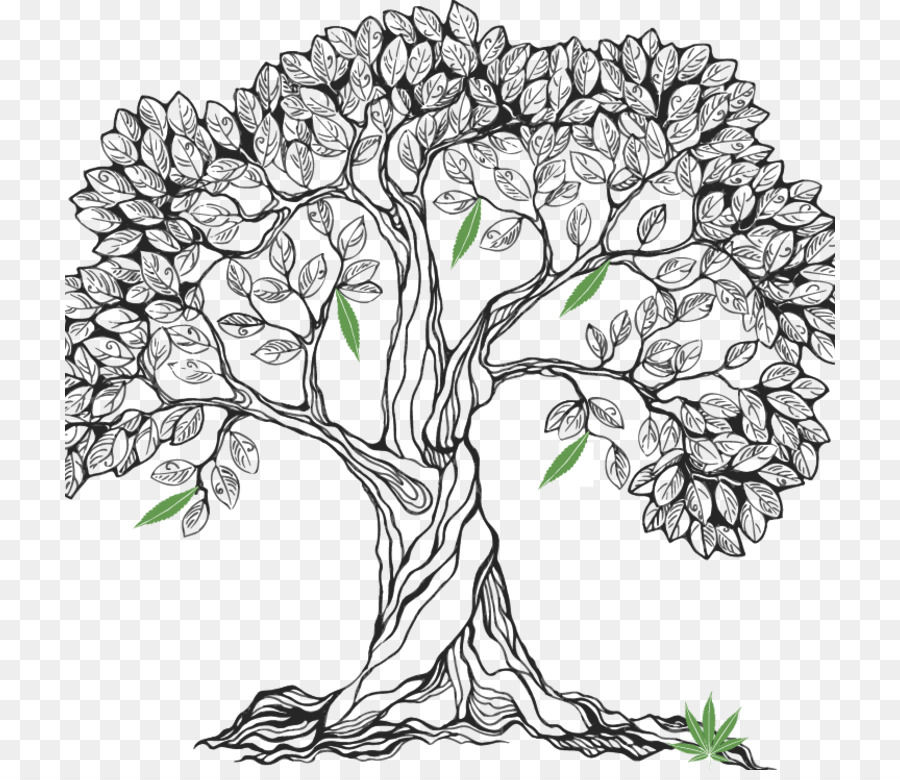 Dibujo De Arbol，Bosquejo PNG