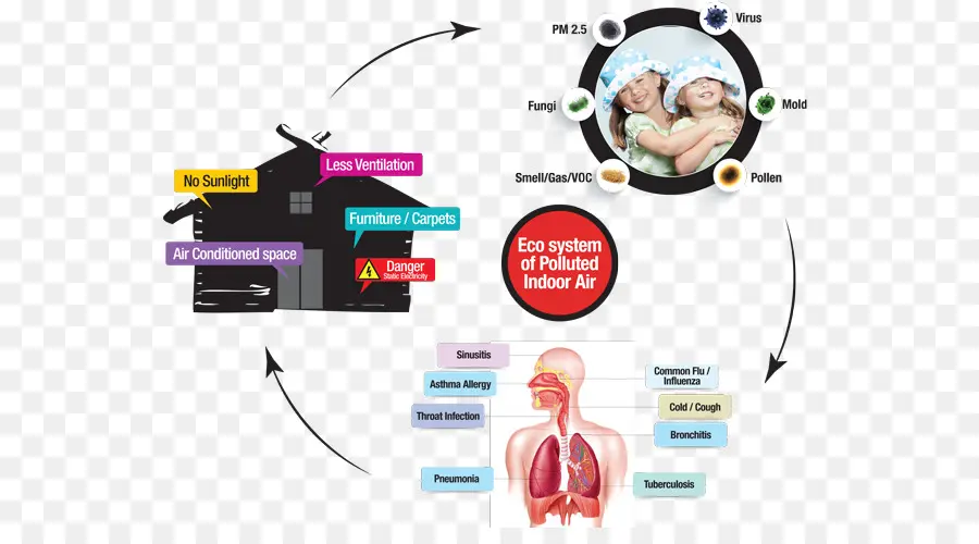 Diagrama De Aire Interior Contaminado，Salud PNG