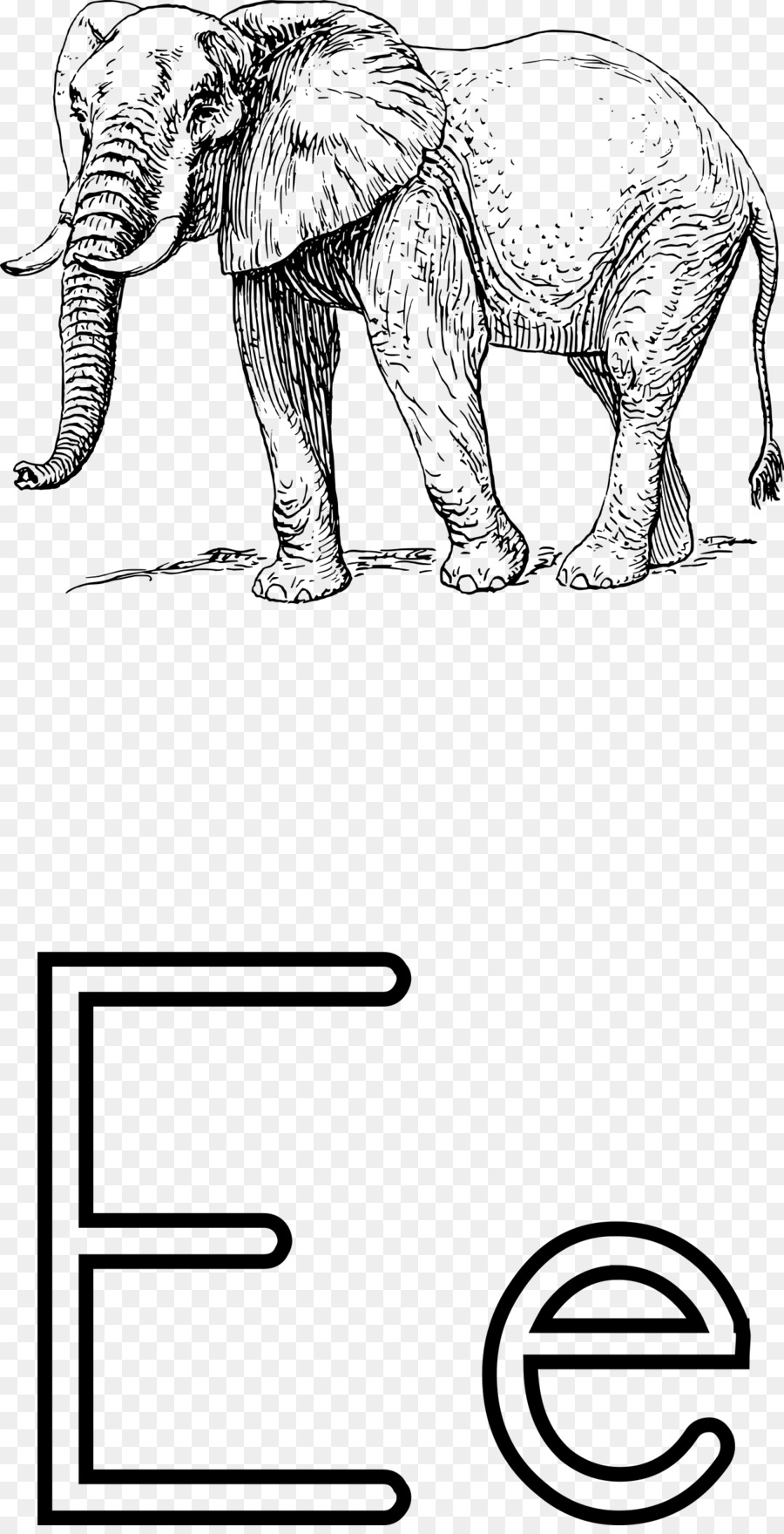 Elefante，Dibujo PNG