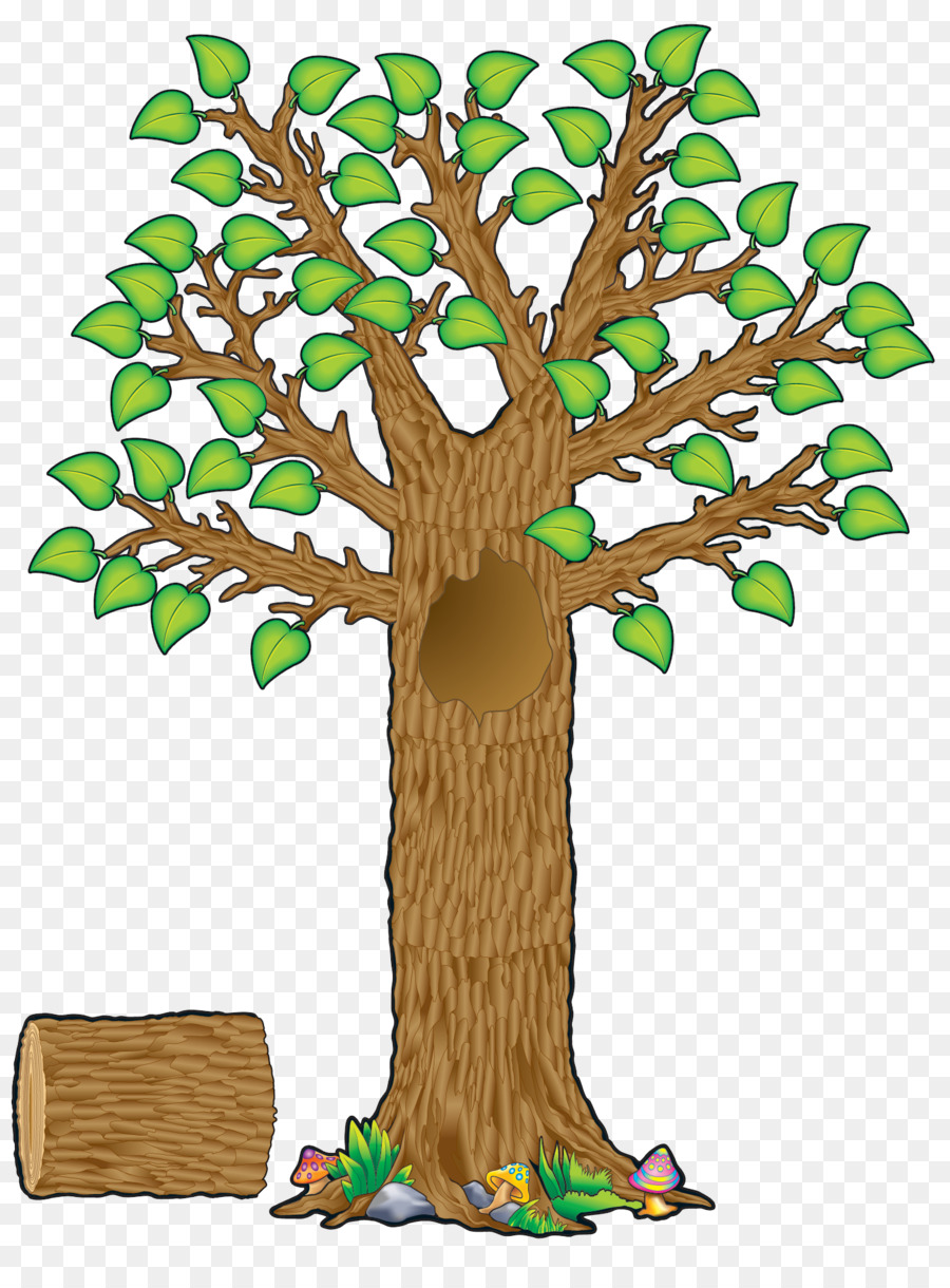 Árbol，Hojas PNG